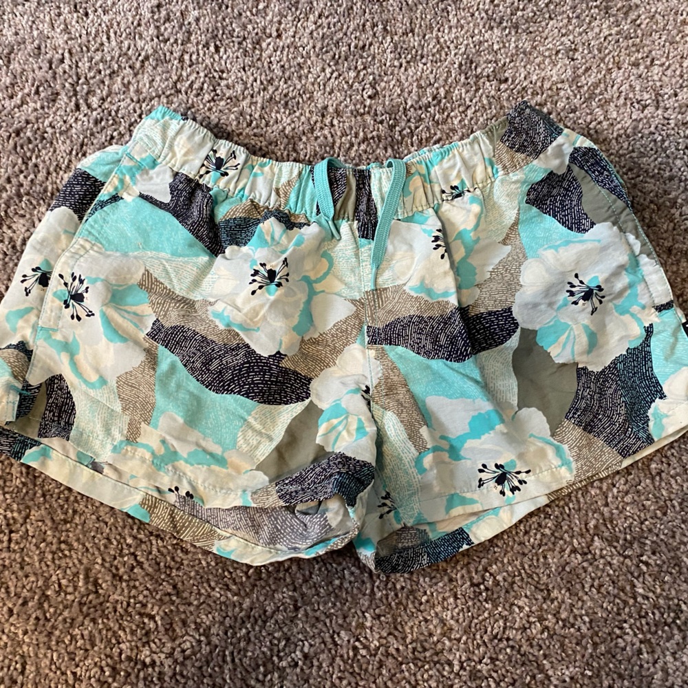 Patagonia Baggies shorts